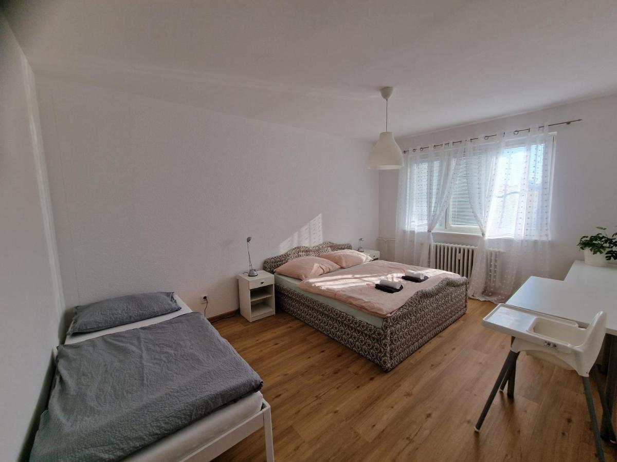 Apartment Simon Ii. Františkovy Lázně Exterior foto